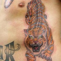 Tiger kriecht an dickem Bauch Tattoo