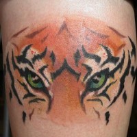 Bonito tatuaje los ojos del tigre en color