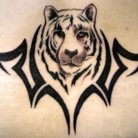 Tribal tiger monochrome tattoo