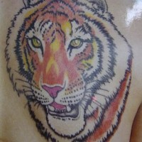 Tiger head coloured tattoo