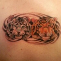 Cabezas de dos tigres tatuaje ne color