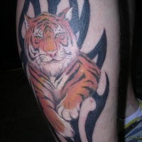 Precioso tatuaje del tigre al fondo del símbolo tribal