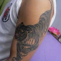 Black ink crawling tiger tattoo on arm