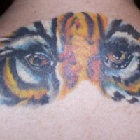 Tiger eyes coloured tattoo on back