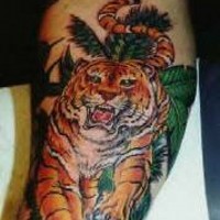 Tigre rugiendo entre las hojas verdes tatuaje en el brazo