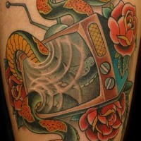 Tatuaggio stilizzato la TV & il serpente & le rose