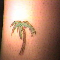 Kleines Tattoo von farbiger Palme