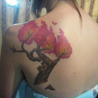Tatuaggio colorato sulla spalla l'albero in fuoco