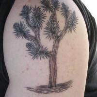 Tatuaggio colorato sul deltoide il pino
