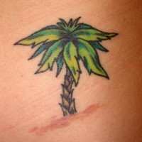 el tatuaje de la palma hecho en color