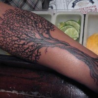 el tatuaje de un arbol hecho en la mano