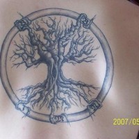 el tatuaje detallado de un arbol viejo dentro de un circulo
