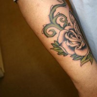 el tatuaje de una rosa con su tallo en el brazo
