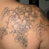 el tatuaje de una rama con uvas heccho en tinta gris en la espalda