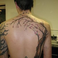 Nice and big tree tattoo on back