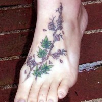 Tatuaggio bellissimo sul piede la pianta fiorita colorata