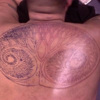 Circle tree tattoo on upper back