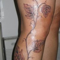 el tatuaje de una rama de arbol con hojas hecho en la pierna