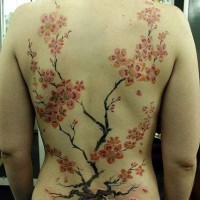 Colorful cherry blossoms tree tattoo on back
