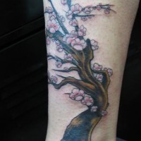 Tatuaggio la sakura fiorita sul braccio