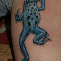 Pale blue tree frog tattoo