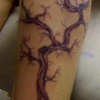 Precioso tatuaje del árbol en color morado