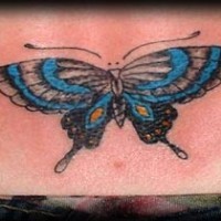 Blauer Monarch Schmetterling Tattoo