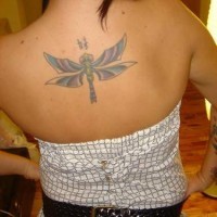 Coloured tribal dragonfly tattoo