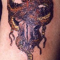 Yellow snake on bull skull tattoo