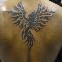 el tatuaje tribal de la ave fenix hecho en tinta negra en la espalda