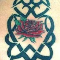 Tribal tattoo with big red rose