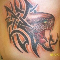 Tatuaje tribal en color con la serpiente agresiva