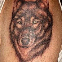 Serious wolf with yellow eyes tattoo