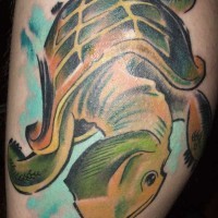 Cool art turtle tattoo in green color