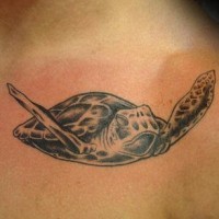 Tattoo mit schwimmender Schildkröte in schwarzer Tinte