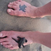 Tatuaggio piccolo sul piede la tartaruga nera