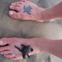 Tatouage réaliste de petite tortue sur le pied