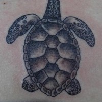 Tatuaggio carino la tartaruga nera