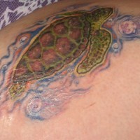 Tatuaggio bello la tartaruga verde marrone