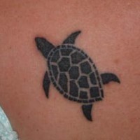 Tatuaggio elegante la tartaruga nera piccola