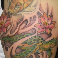El tatuaje de una tortuga, un pez koi y una flor de loto en el brazo o hombro