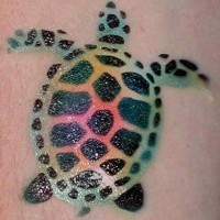 Tatuaggio colorato la tartaruga verde