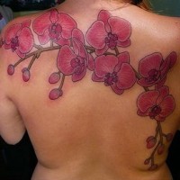 Wunderschönes Tattoo mit  Kirsch Orchideen am oberen Rücken