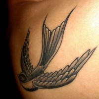 Flying swallow on upper back fine tattoo