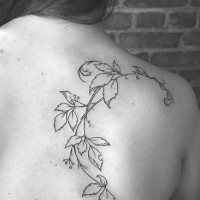 Nice vine tattoo of leaves on scapula