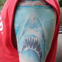 Tattoo with big shark in blue color on shoulder