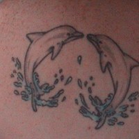 Water animal tattoo with two kissing dolphins