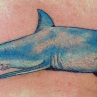 Water animal tattoo with long blue shark
