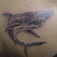 Water animal tattoo with angry shark