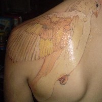 Tatuaje en tinta blanca ave noble